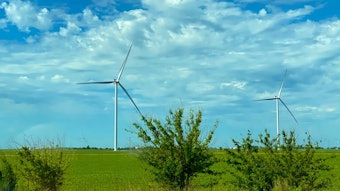 jennifer-griffin-Z7JWtvFVeEM-unsplash