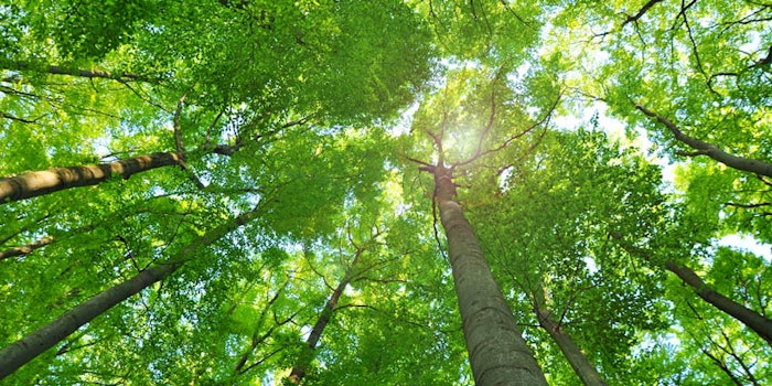 L'Oréal USA is using offsets, landfill gasses and other strategies to achieve carbon neutrality.