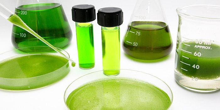 Gelyol comprises four actives of sustainably sourced algae to impart an array of skin benefits such as slimming, moisturization and re-mineralizing.