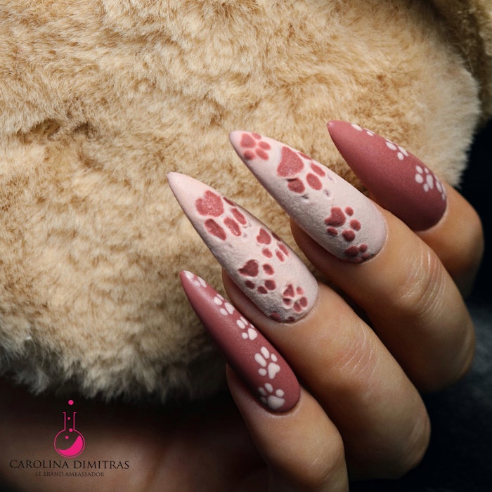 3 D Paw Prints Set 1