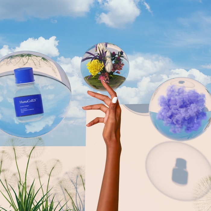 NSM will distribute Geltor's HumaColl21, the first-ever bio-designed vegan human collagen for skin care, among other Geltor creations.