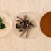 Givaudan Active Beauty's Patchoul’Up is the company's latest upcycled active ingredient to rebalance sebum production for the scalp microbiome and improve overall well-being.