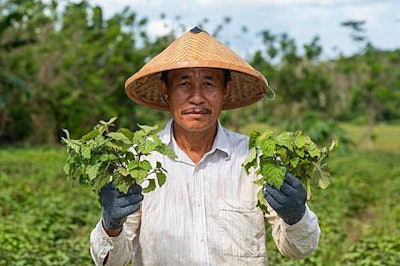 'Patchoul’Up is aligned with Givaudan's approach to shaping a sustainable future for all through its Sourcing4Good program.'