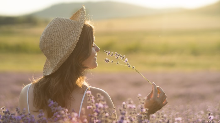 Dreamstime Xxl 67321648