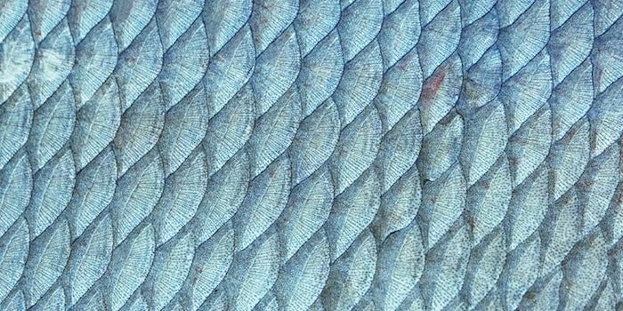 Marine Collagen has been shown in clinical trials to impart anti-aging, antioxidant and moisturizing benefits both topically and through oral administration.