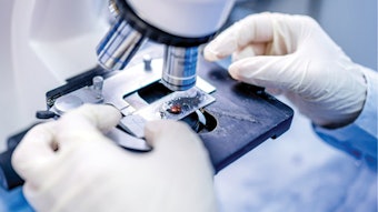 A specimen under a microscope.