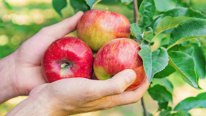 Apples offer properties which can be beneficial to the skin, including antioxidizing effects, flushing out toxins, replenishing minerals and accelerating tissue regeneration.