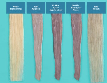 Matrix Launches Tonal Control Pre-Bonded | Beauty Launchpad