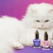 Learn more about mooncat's newest spring shades and how they are helping cats find their forever homes.