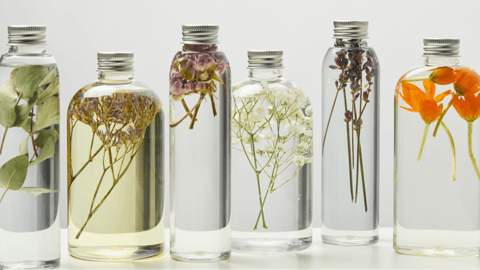 different organic beauty products in transparent bottles with herbs and flowers isolated on grey