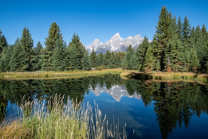 Alexandra Vargas, sustainability agent at Cosmo International Fragrances, said, &ldquo;The Ten Principles have long been a part of our corporate strategy and day-to-day operations. We are proud to join the UNGC community and formalize our commitment to conducting responsible business for a more sustainable world.&rdquo;