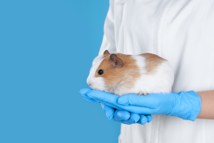 The ICCS is a global initiative focused on the adoption of animal-free assessments of cosmetics and its ingredients for human health and environmental safety.