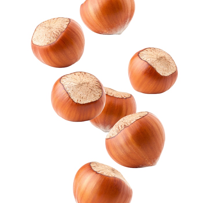 iso-Valeric acid makes a subtle, but very useful, contribution to hazelnut flavors at 100 ppm.