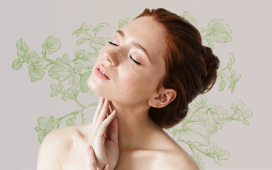 Myoline Illustration