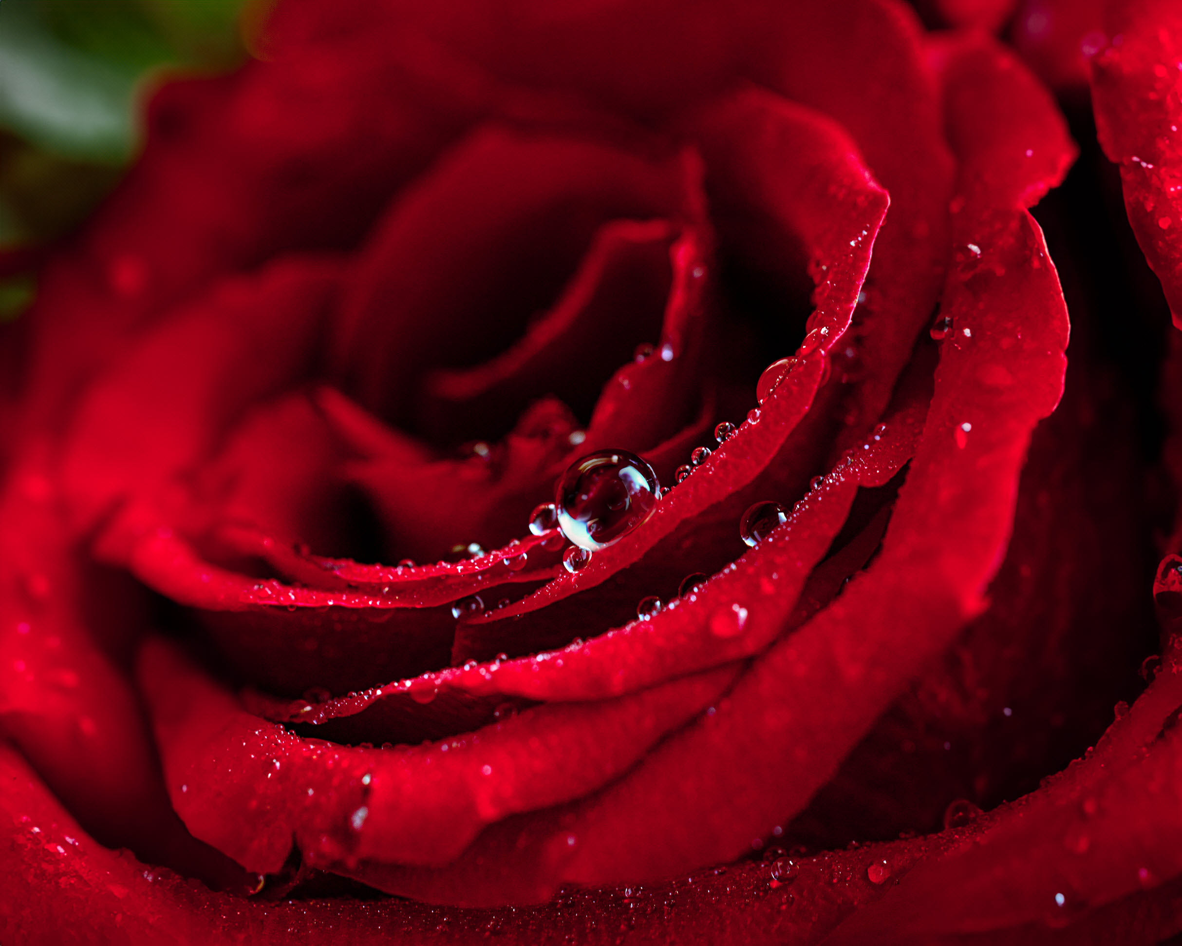 Aro Productcluster Rose