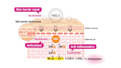 Extra Graphic 1 To Use