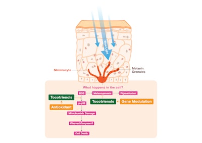 Extra Graphic 2 To Use