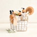 Gift basket with cosmetic products on light background
