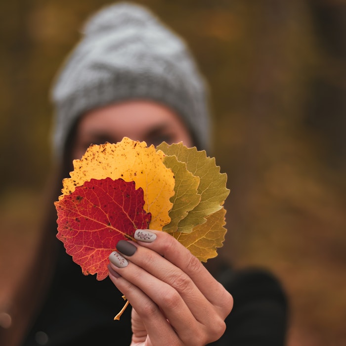 Adobe Stock 382896902