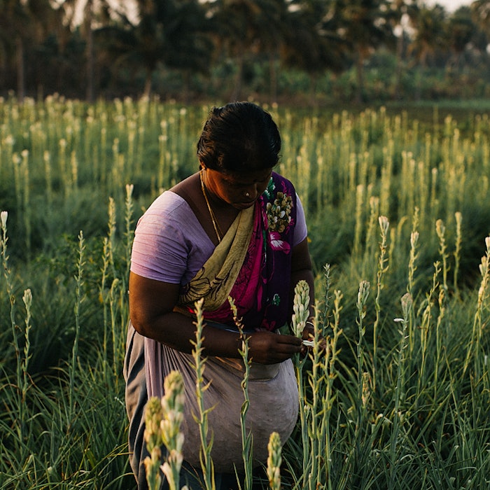 The facility is said to manufacture a diverse portfolio of value-added products, with a planned ramp-up of activities over the next two to three years.