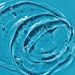 Hydration for the skin
