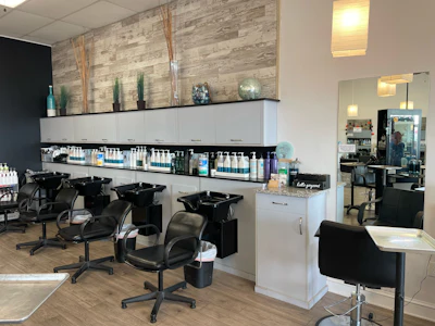 Salon Deja Vu shampoo bowls
