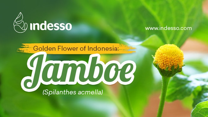 Indesso Lead Image R