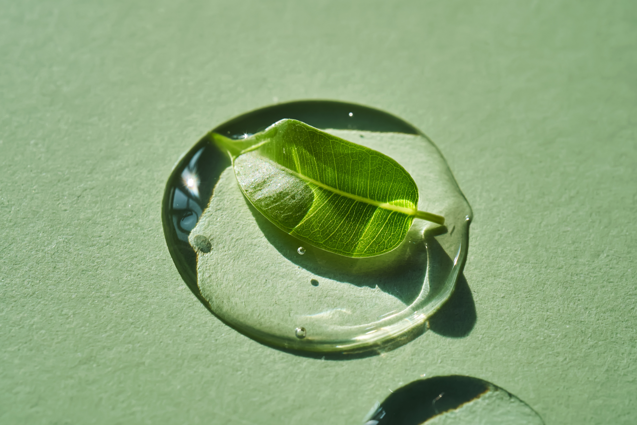 Green Natural Beauty Gel Leaf Bubbles Adobe Stock 1372828467