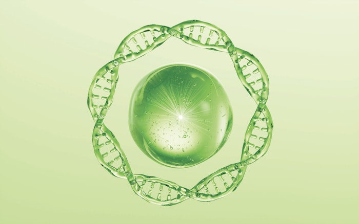 Kalichem Shutterstock 2467705641 1