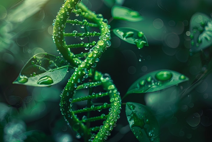 Plant Dna Imagery Uebt Conference