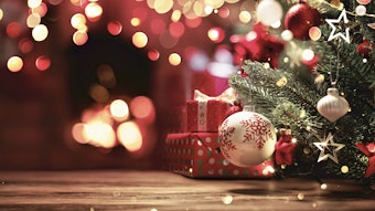 Adobe Stock 539709579