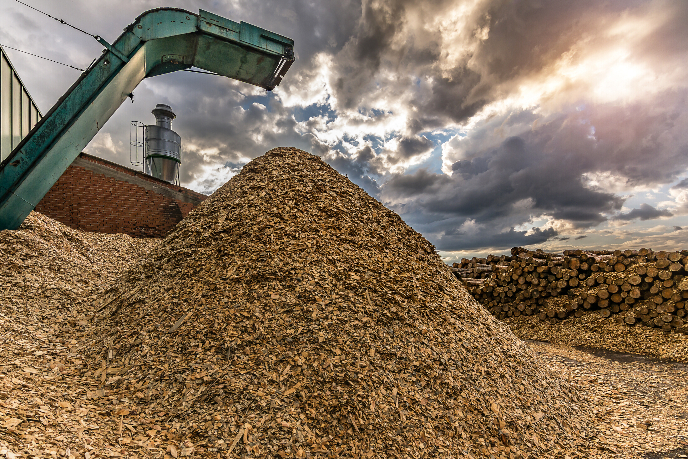&Auml;IO&rsquo;s process transforms agricultural and wood industry side streams into high-quality oils and fats.