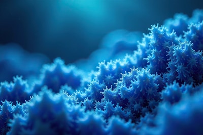 Bicoalgae Blue combines two primary active ingredients: Spirulina platensis, a blue microalgae known for promoting keratinocyte and fibroblast proliferation, and resveratrol.