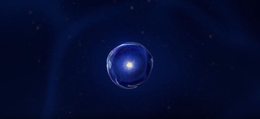 The campaign captures the growing desire to look &ldquo;subtly refreshed&rdquo; without the effort, especially towards beauty-conscious consumers.