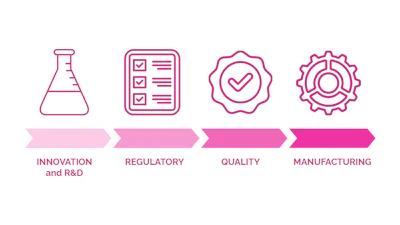 Makeup is one of the most dynamic areas of the cosmetics industry, where formulation complexity and continuous R&D drive innovation.