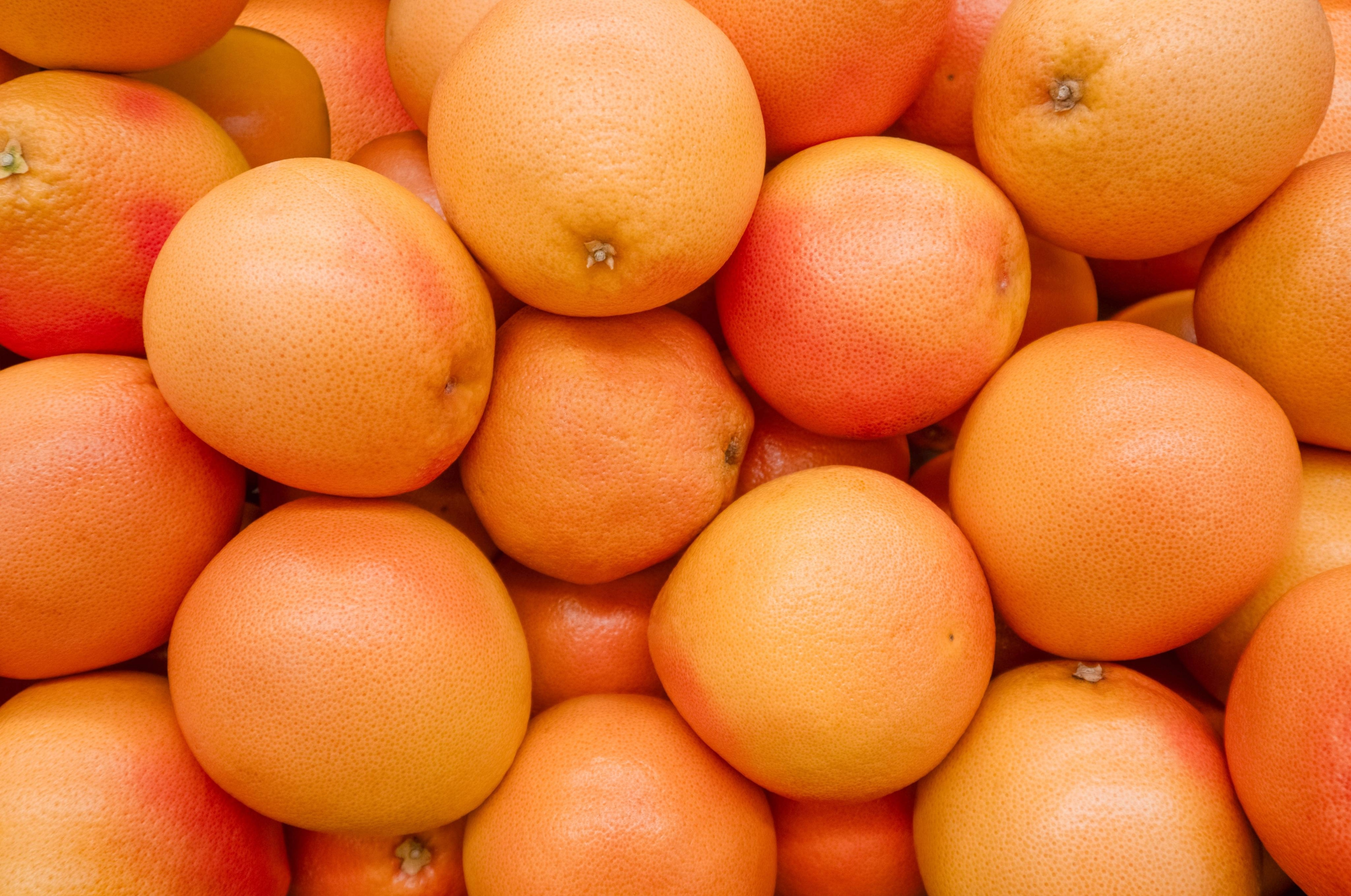 Grapefruit jpeg