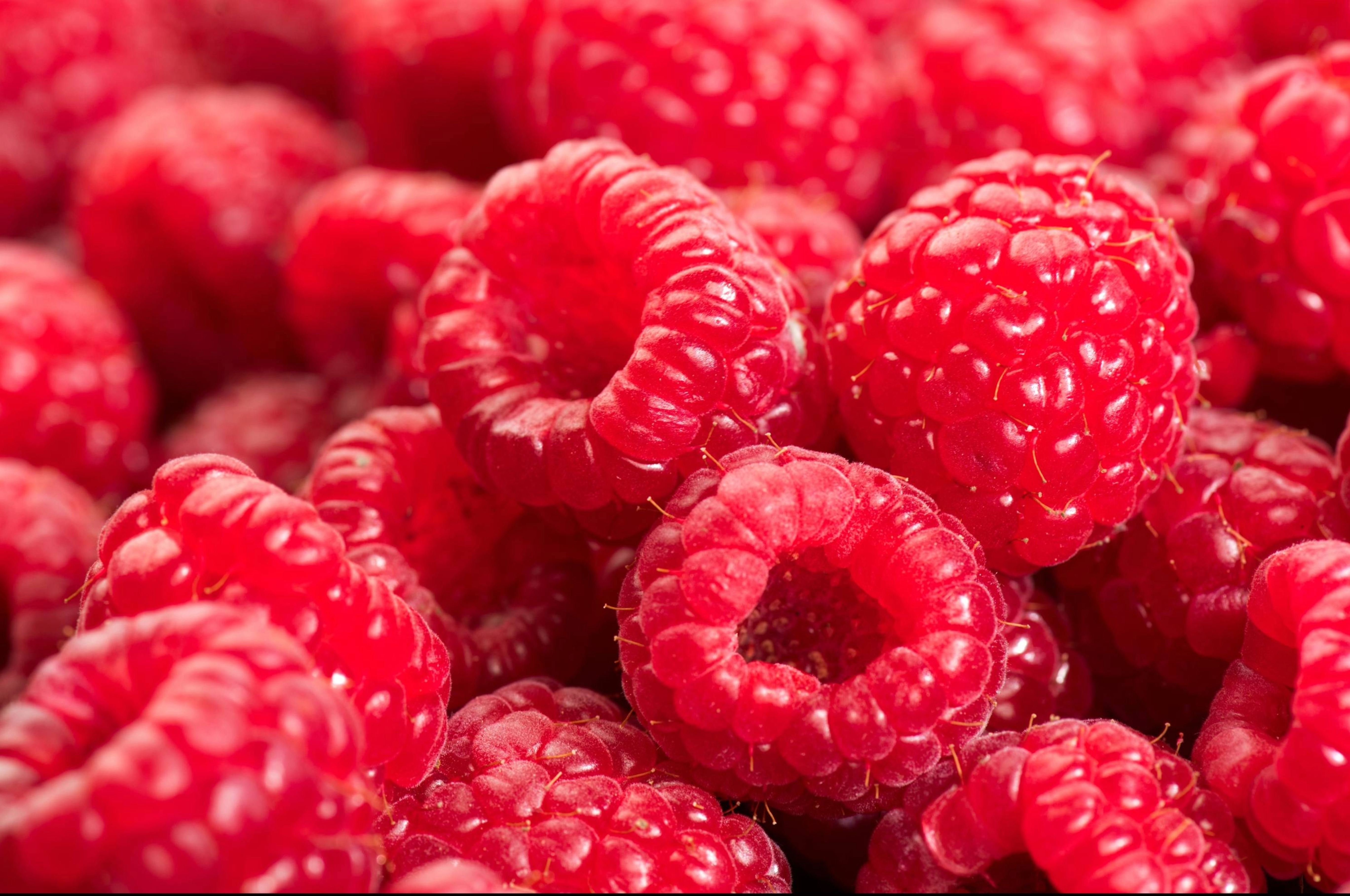 Raspberry jpeg