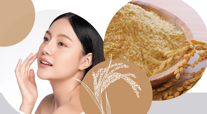 Image Ricebranferment2026feb