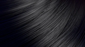 Adobe Stock 63543429