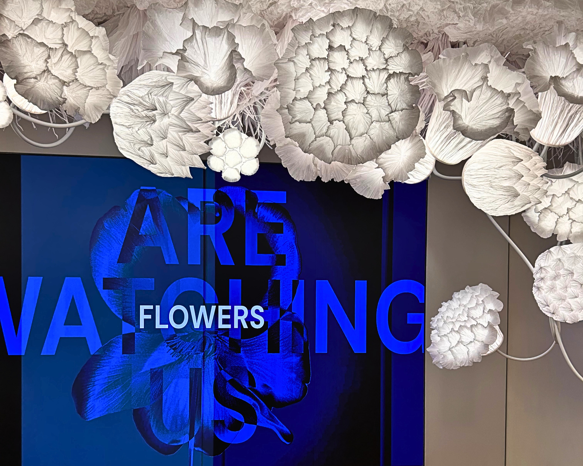 The activation also serves as a showcase for dsm-firmenich's expanding technology platform. Building on more than a century of floral innovation&mdash;from early breakthroughs such as Iralia, Wardia and Hedione&mdash;the company highlights how modern technologies including Firgood extraction, NaturePrint capture and the new captive ingredient Heliobliss are enabling perfumers to create more nuanced, sustainable and expressive floral signatures.
