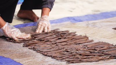 Person wearing plastic gloves arranging dried plant fibers on wooden surface with blue tape during craft preparation