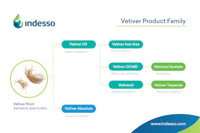 Indesso vetiver product family flowchart showing extraction methods and derivative compounds from vetiver root