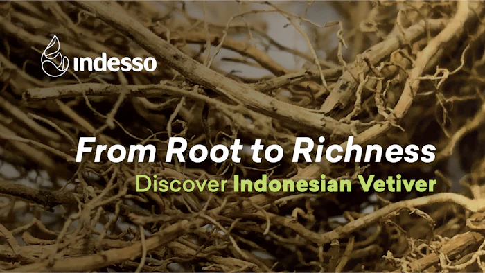 Indesso logo with tagline 'From Root to Richness' promoting Indonesian Vetiver on dried root background